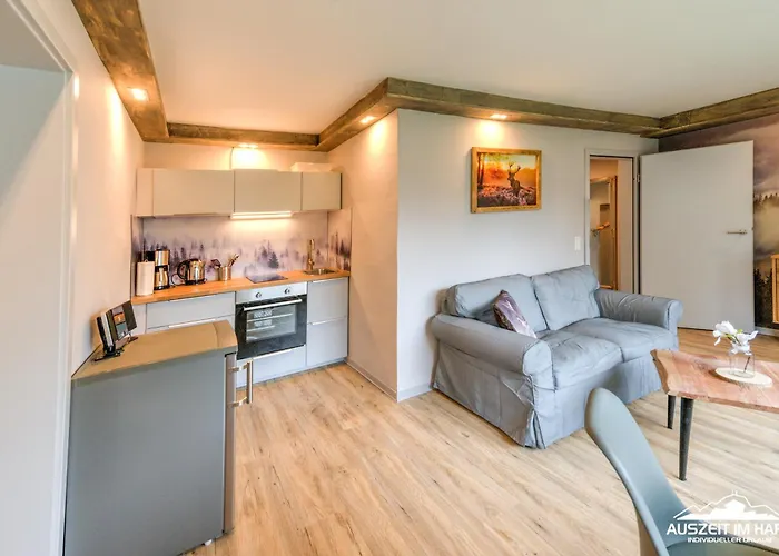 Auszeit-Im-Harz Haus 3 Wohnung 2