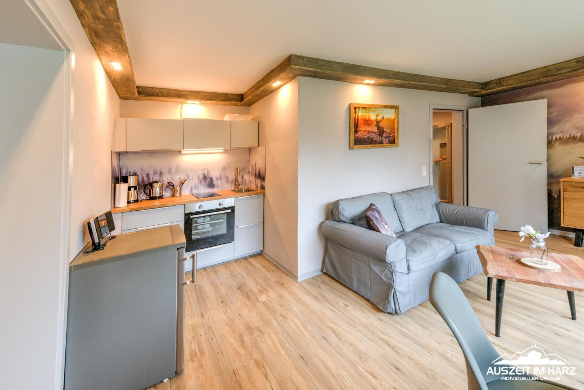 Appartamento Auszeit-im-harz Haus 3 2 Braunlage