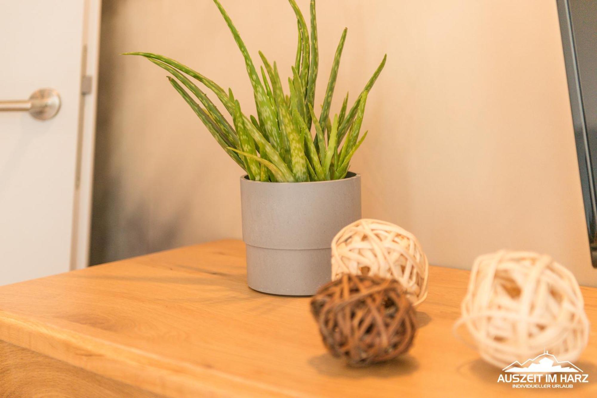 Auszeit-im-harz Haus 3 2 Appartamento *